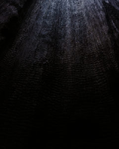 The inner core of an ancient redwood tree which has been burned to charcoal.