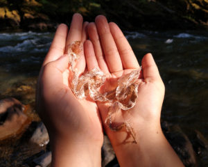 Isa Be Rodriguez holds a dry snake skin in their cupped hands.
